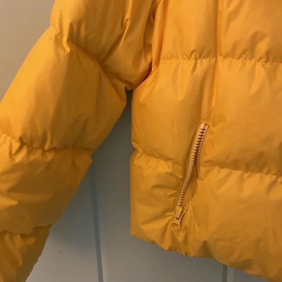 Bacon Yellow Puffer - Picture 5 of 7